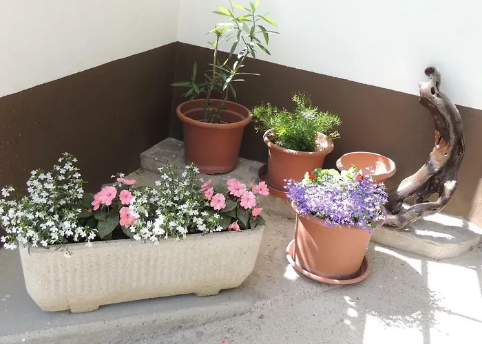 Carli-jurc 아파트 코바리드